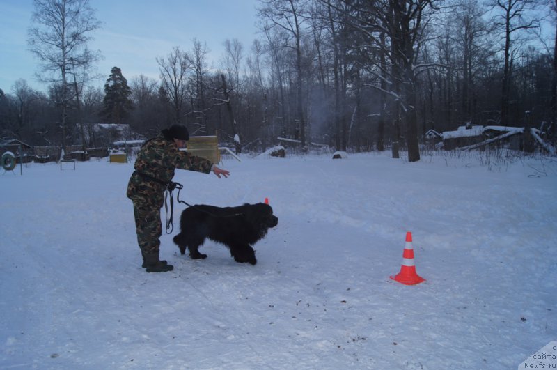 Фотография № 200086