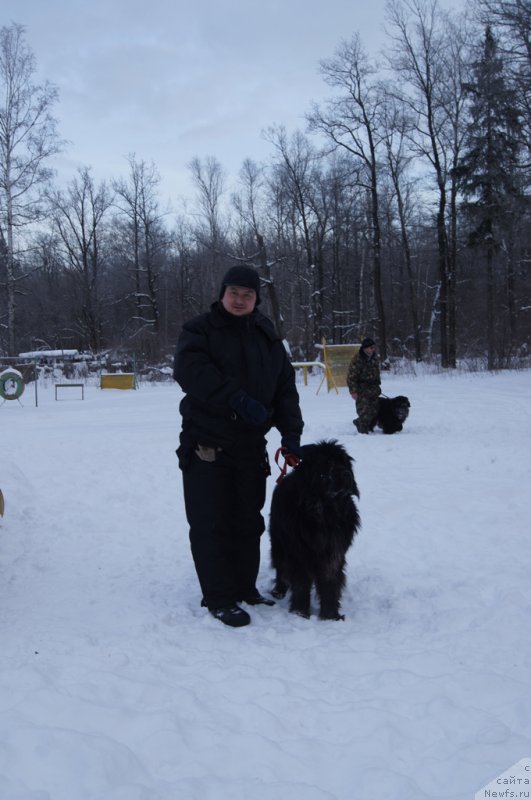 Фотография № 200091