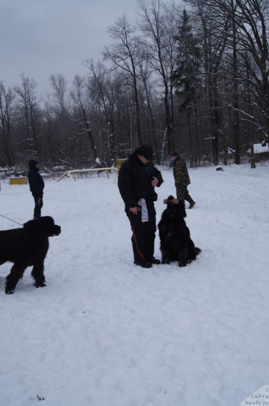 Фотография № 200097