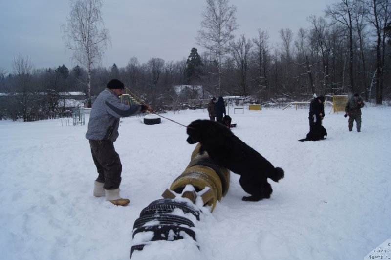 Фотография № 200100