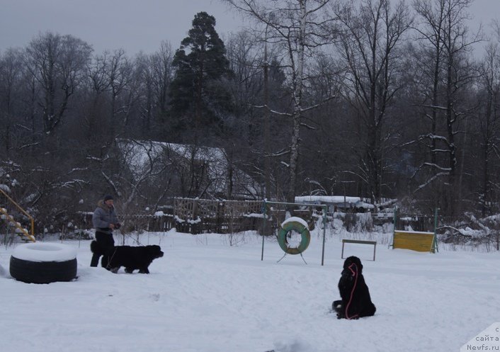 Фотография № 200101