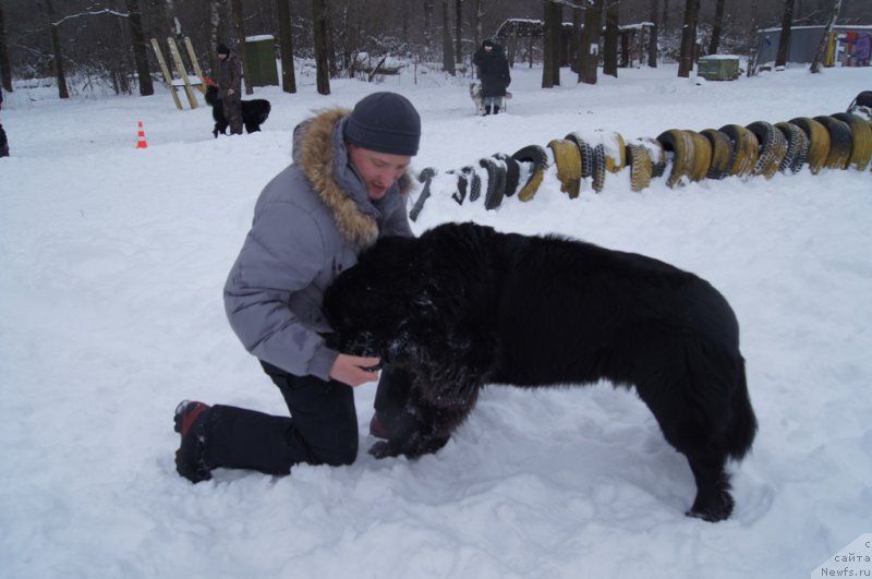 Фотография № 200103