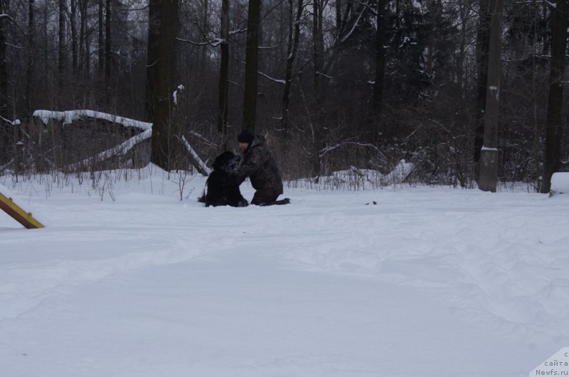 Фотография № 200104