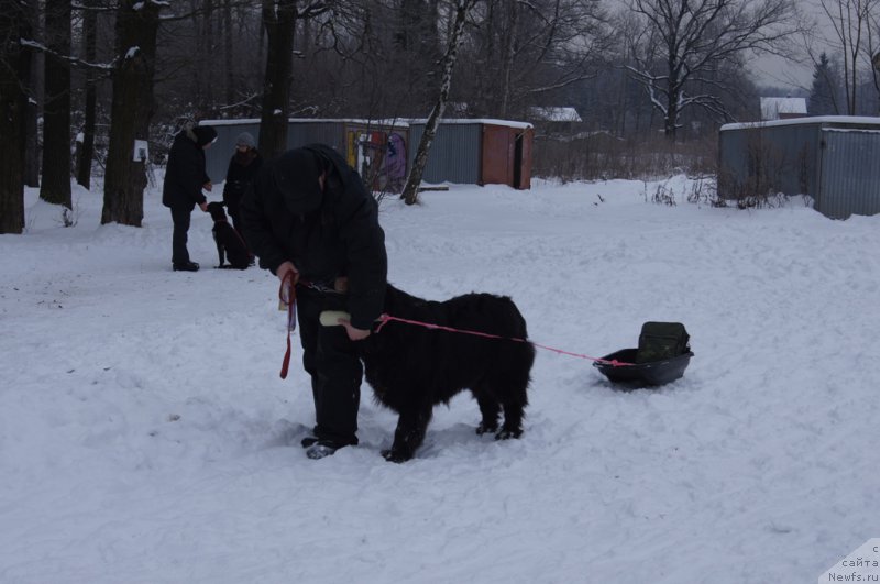 Фотография № 200106