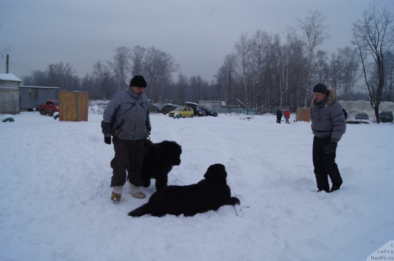 Фотография № 200107