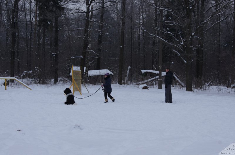 Фотография № 200109