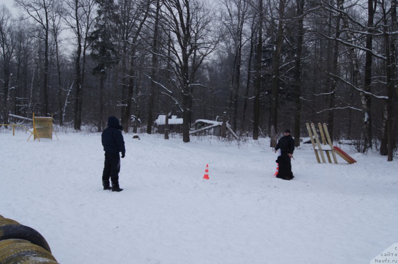 Фотография № 200111