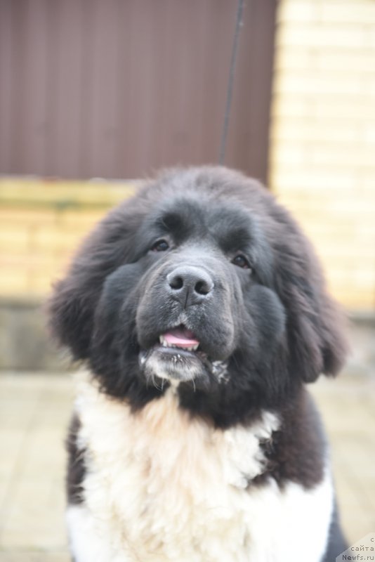 Фотография № 200118