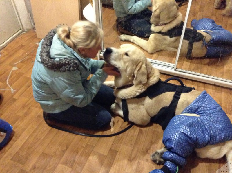 Фотография № 200134