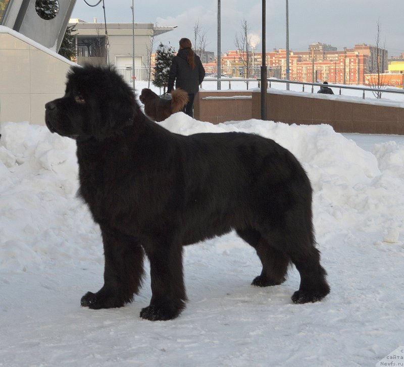 Фотография № 200147