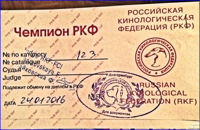 Фотография № 200156