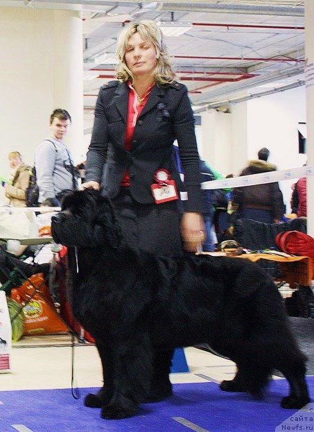 Фотография № 200192