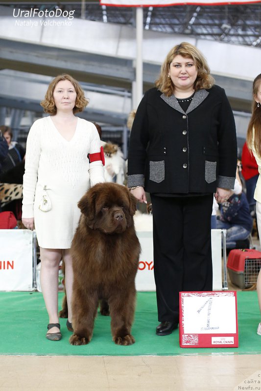 Фотография № 200213