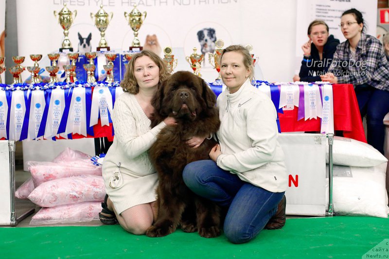 Фотография № 200214