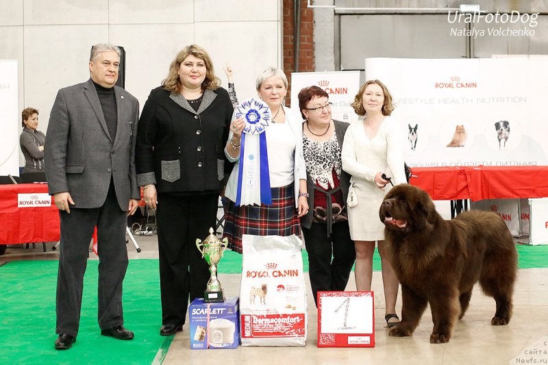 Фотография № 200216