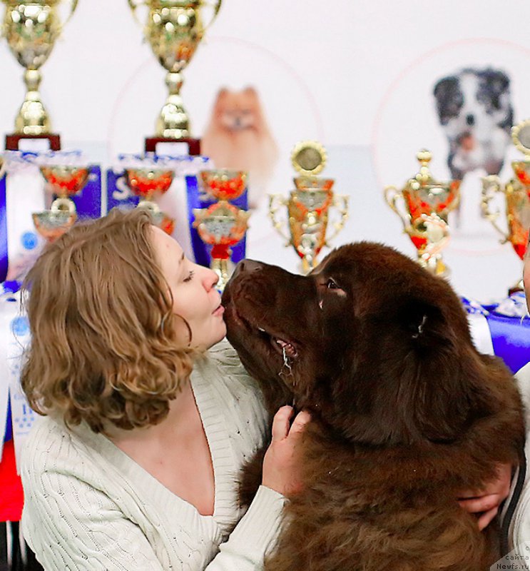 Фотография № 200217