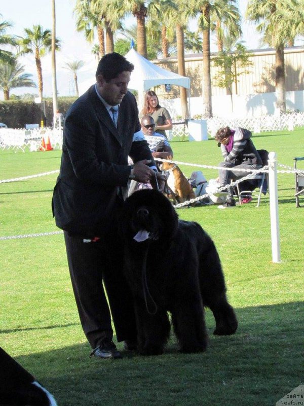 Фотография № 200230