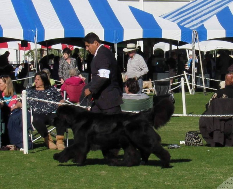 Фотография № 200231