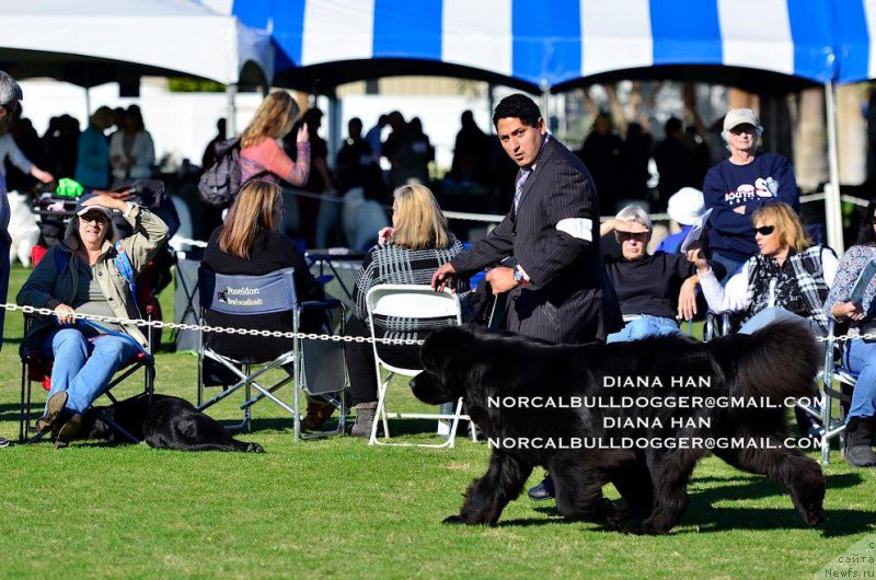 Фотография № 200232