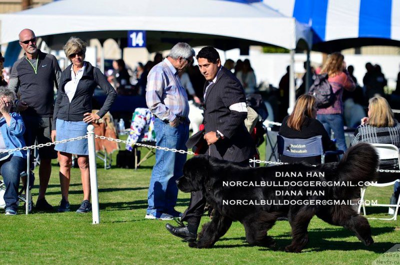 Фотография № 200233