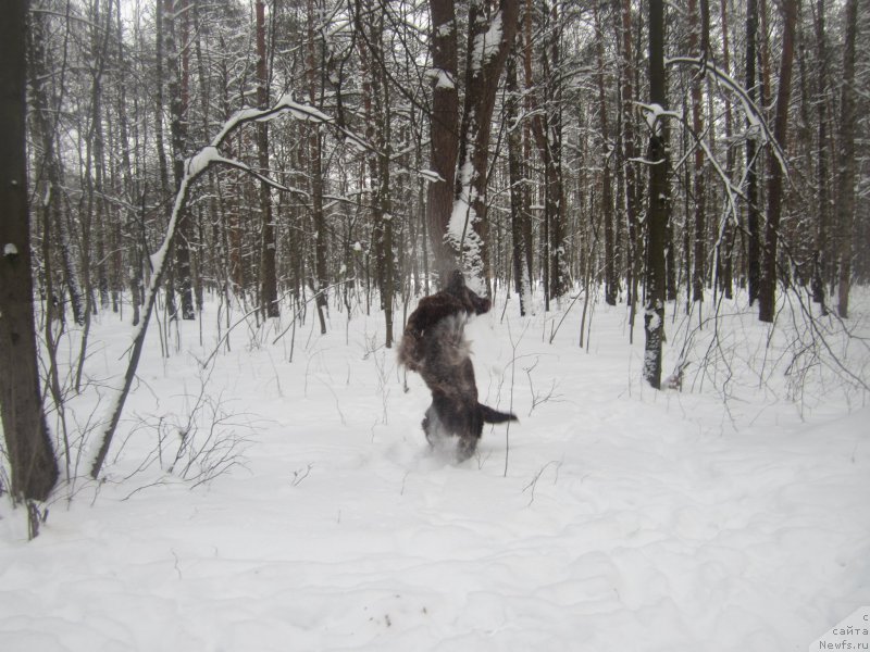 Фотография № 200246