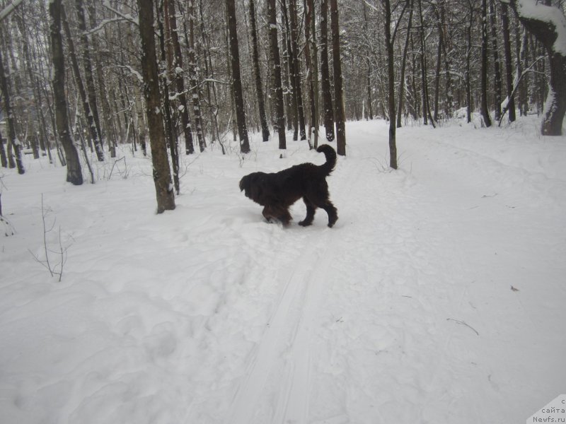 Фото: Natal'ya Smazchikova (Наталья Смазчикова)