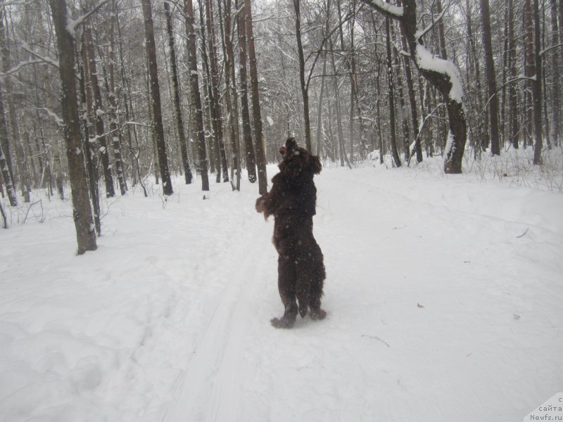 Фотография № 200249