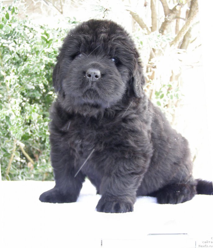 Фотография № 200373