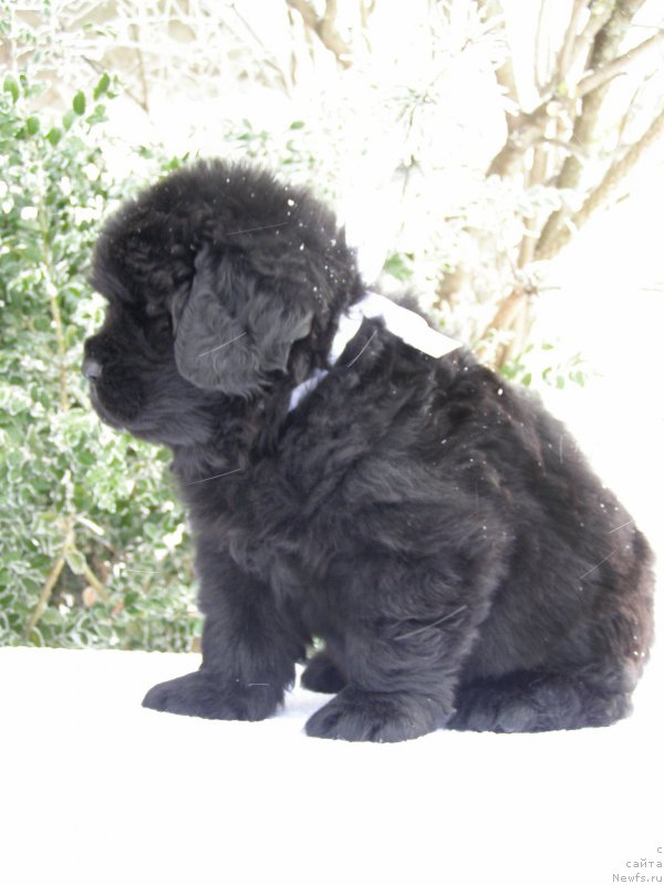 Фотография № 200376