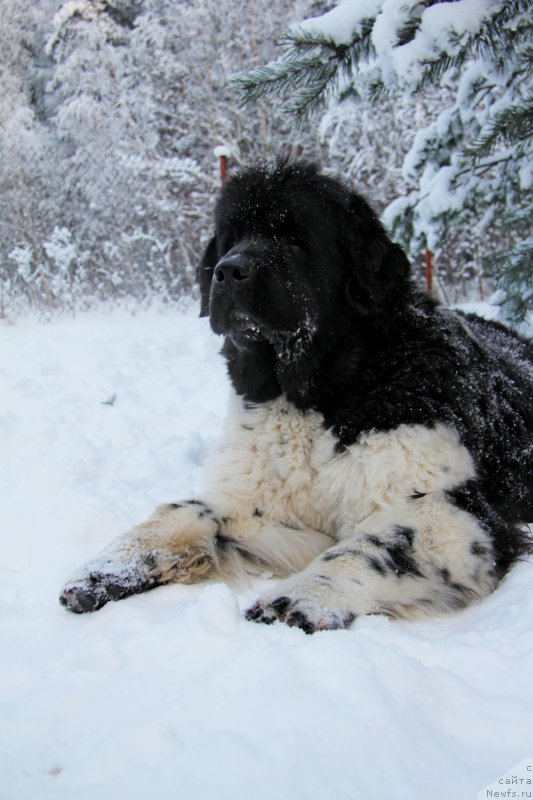 Фотография № 200427