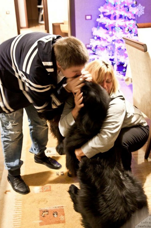 Фотография № 200430