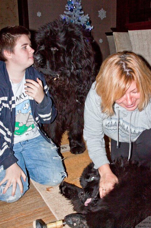 Фотография № 200431