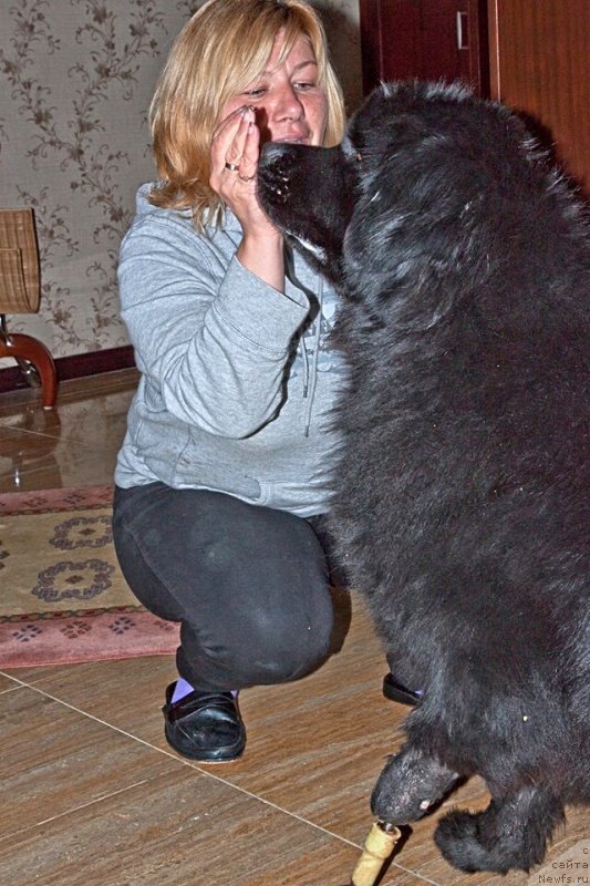 Фотография № 200432