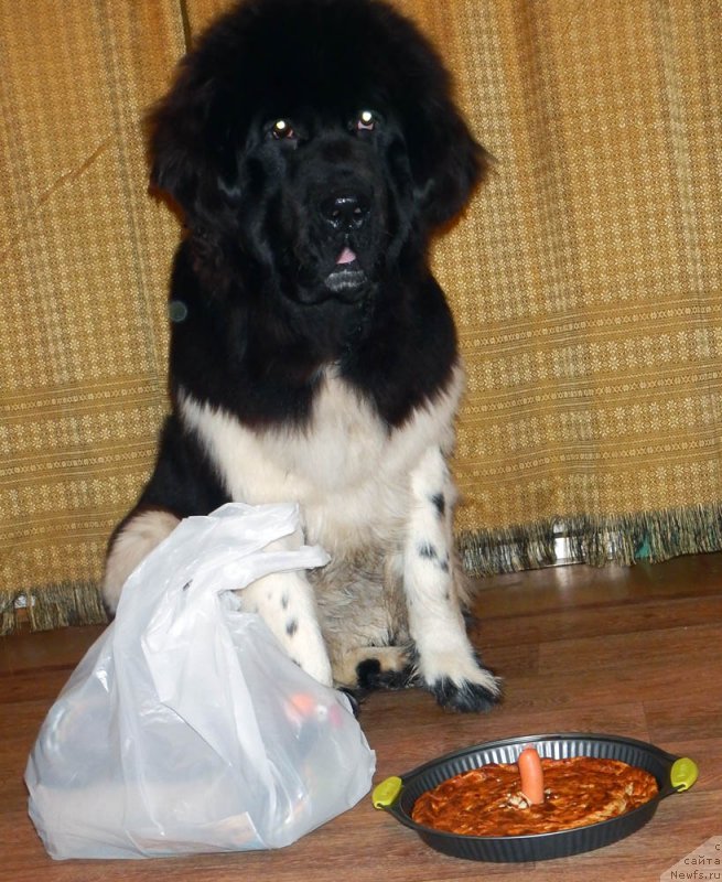 Фото: Anastasiya Kiseleva (Анастасия Киселева)