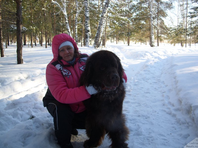Фото: ньюфаундленд CHernyiy SHarm Amber Best Dog FO Marleon (Черный Шарм Амбер Бест Дог ФО Марлеон), Tat'yana SHayduk (Татьяна Шайдук)