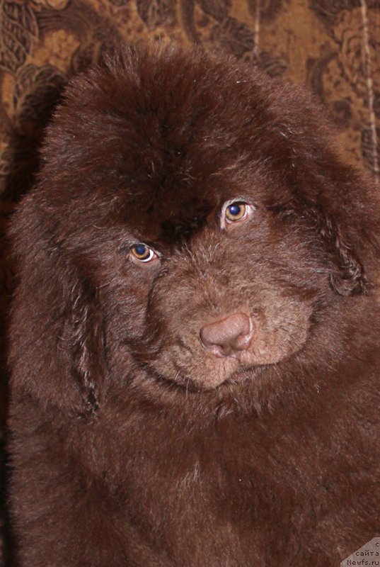 Фотография № 200488