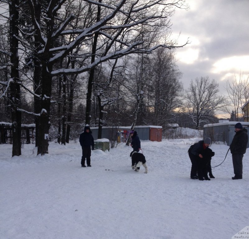 Фотография № 200492