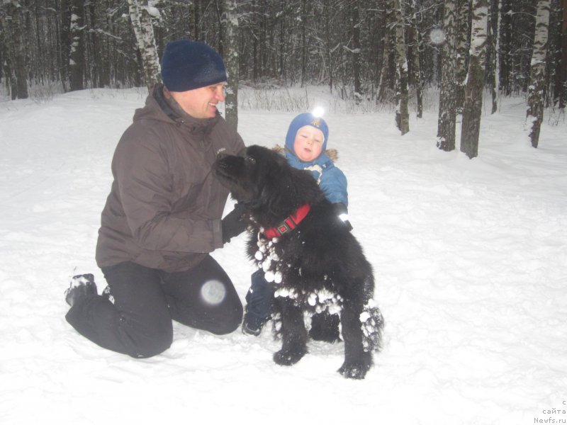 Фотография № 200499