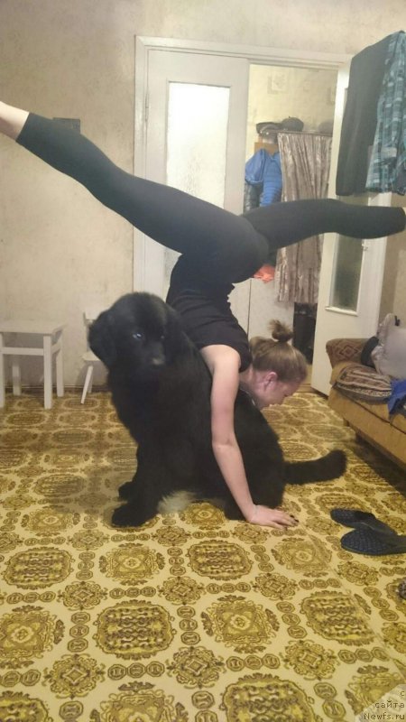 Фотография № 200508