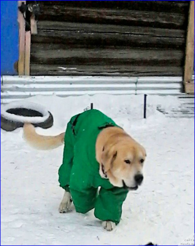 Фото: Lena Zyirina (Лена Зырина)