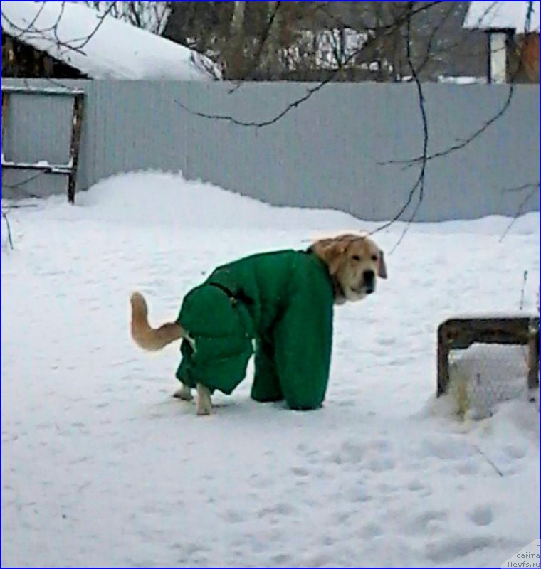 Фото: Lena Zyirina (Лена Зырина)