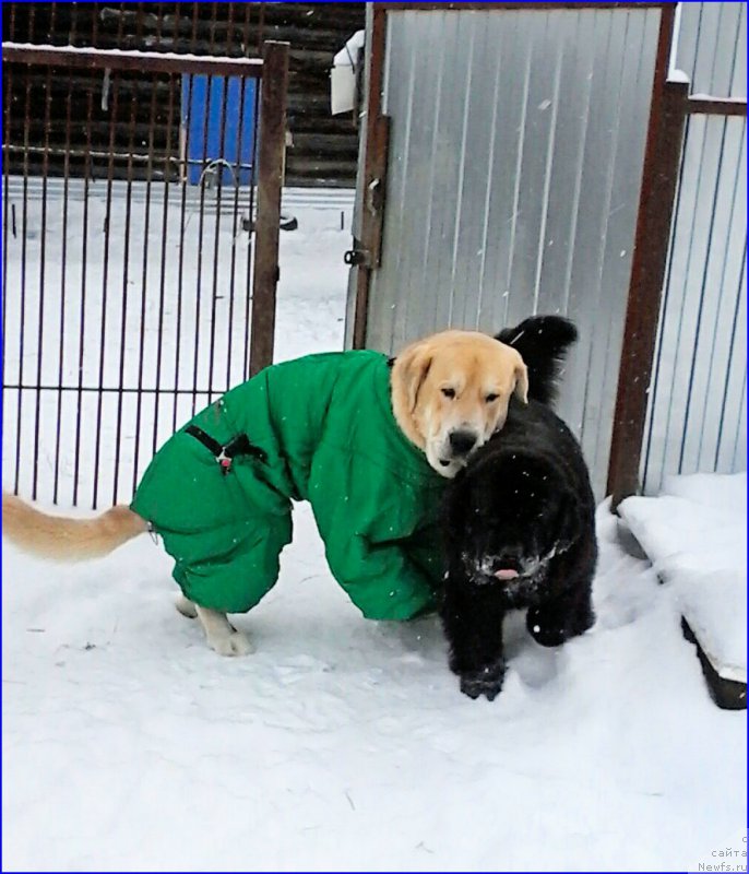 Фото: Lena Zyirina (Лена Зырина)