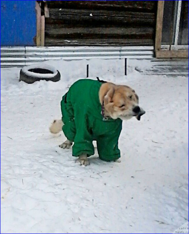 Фото: Lena Zyirina (Лена Зырина)