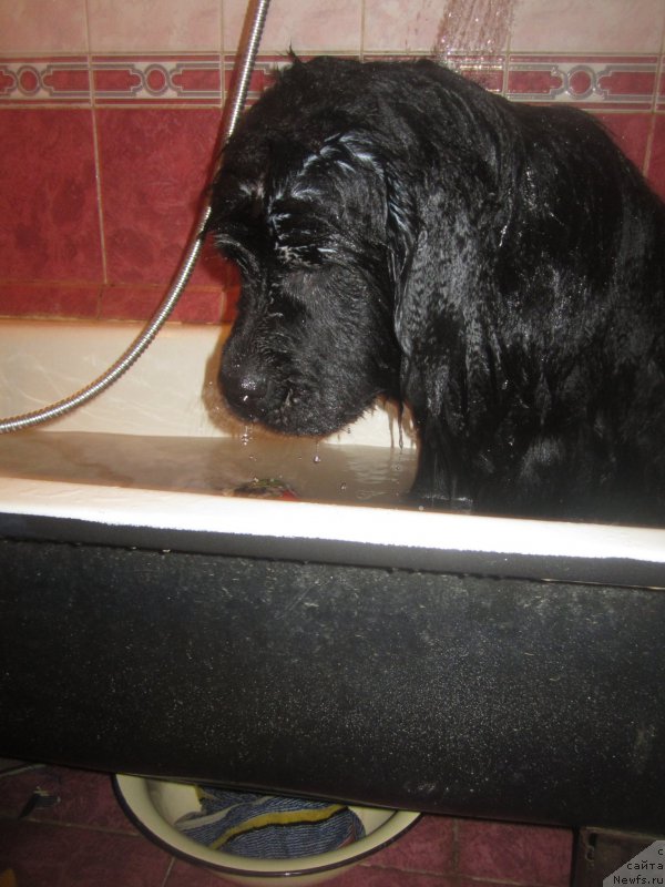 Фото: Natal'ya Smazchikova (Наталья Смазчикова)