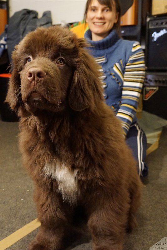 Фотография № 200570