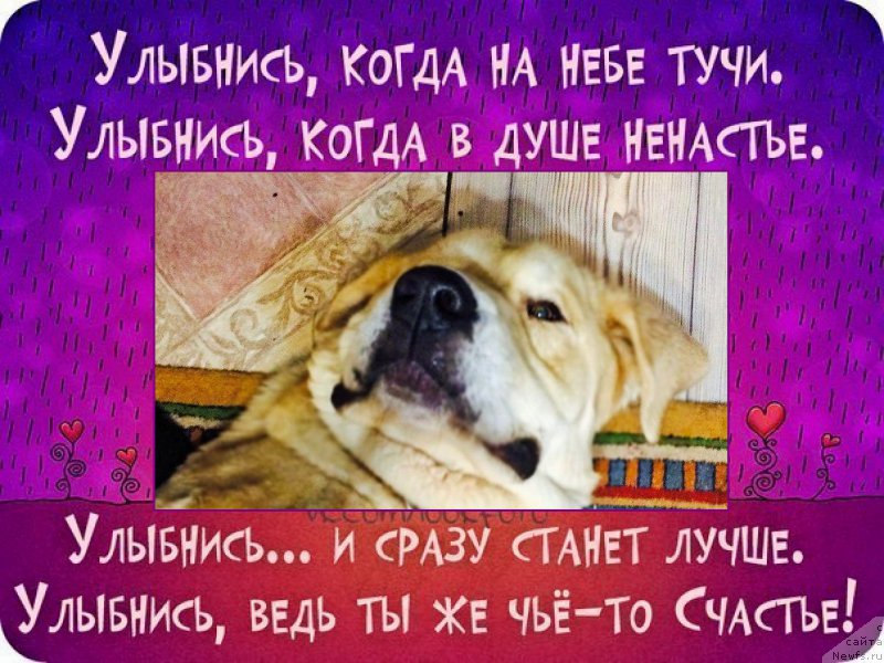 Фото: Lena Zyirina (Лена Зырина)