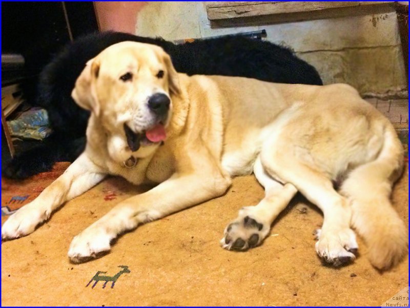 Фото: Lena Zyirina (Лена Зырина)