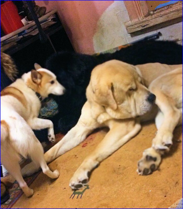 Фото: Lena Zyirina (Лена Зырина)