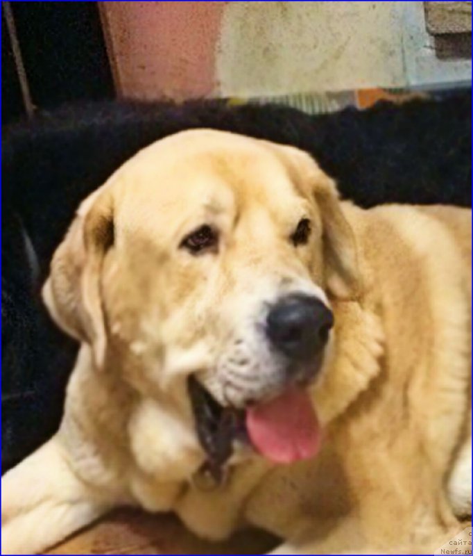 Фотография № 200575