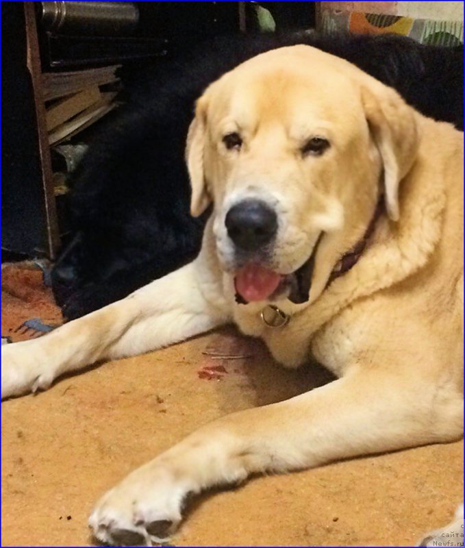 Фото: Lena Zyirina (Лена Зырина)